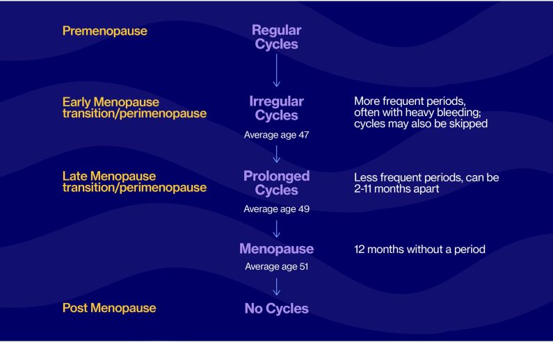 Irreg periods diagram