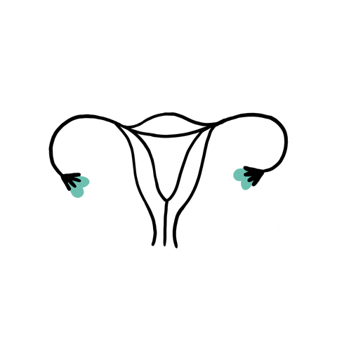 PCOS & Menopause: What&rsquo;s The Connection?