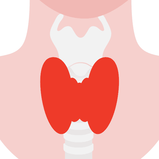 Is It Hypothyroidism Or Is It Menopause?